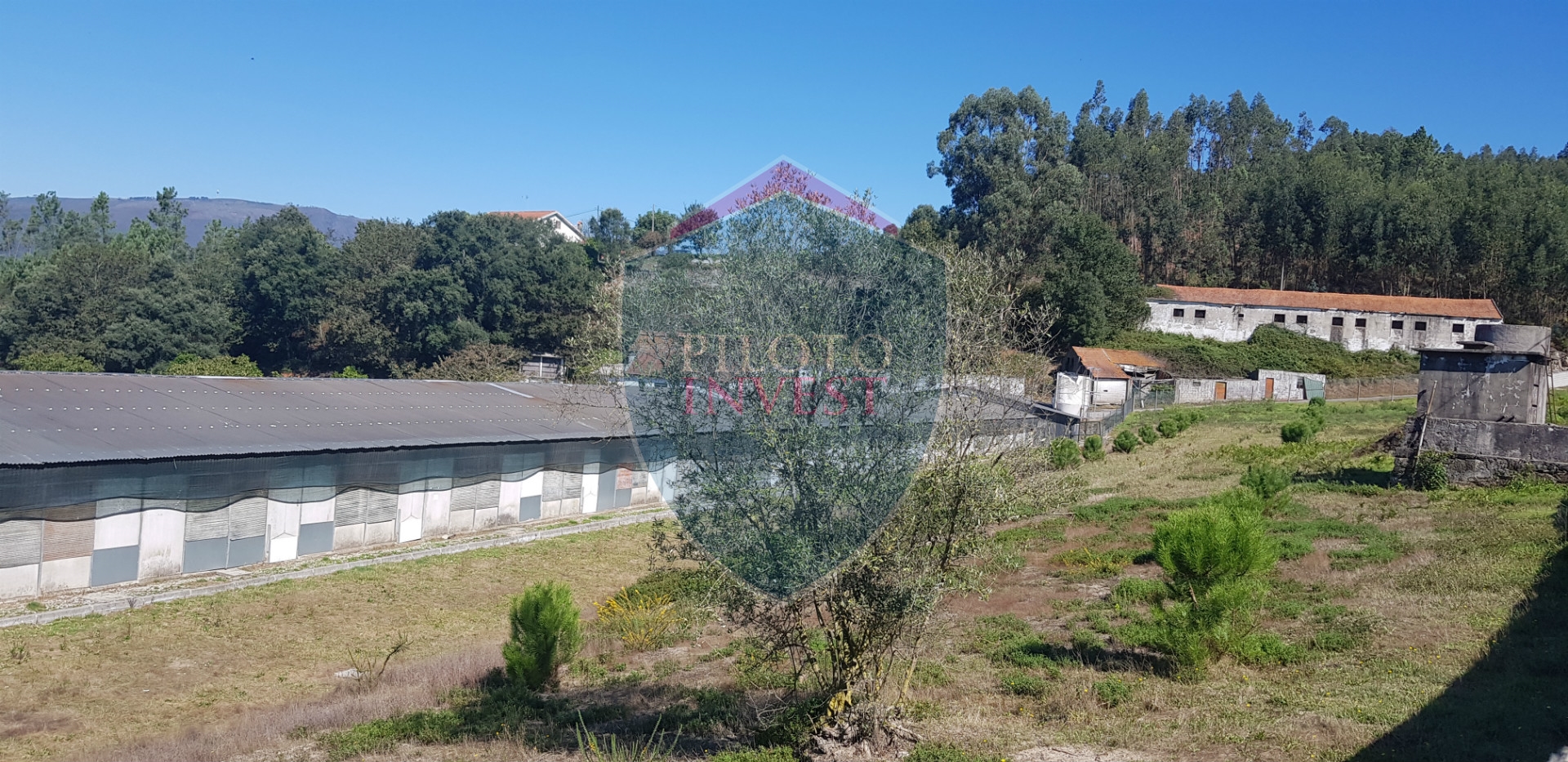 Ferme  Pour Vente dans Oliveira de Frades